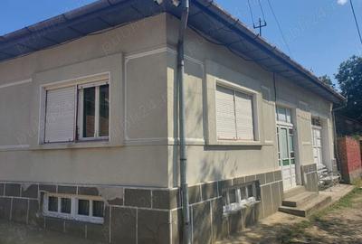 Casa de vanzare in Lapu?nicu Mare - 2