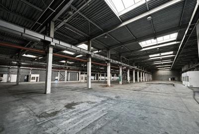Spațiu industrial, de 20,702 mp, în Timișoara - 8