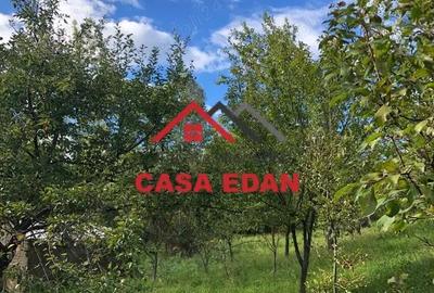 Teren de 9104 mp, în Brebu - 14