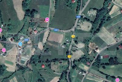 Teren de 990 mp, în Mănăștur - 3