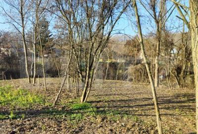 Teren intravilan 738 mp, zona Viforata, Comision 0 - 6