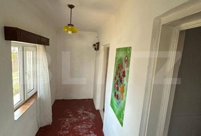 Casa Calea Domneasca 70mp, teren 350mp - 11