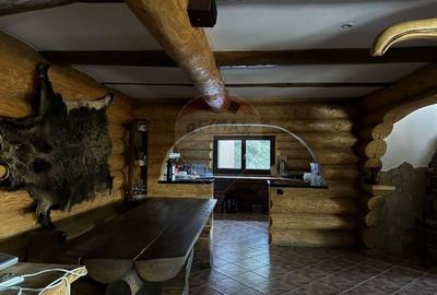 Cabana in inima muntilor, langa partia de schi din Borsa, teren 2200mp - 7