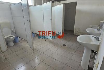 Hală industrială de închiriat în Sebeș  depozitare sau - 6