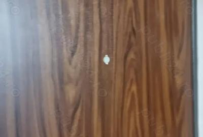 Garsoniera Brancoveanu metrou oraselul copiilor oltenitei scoala de politie sun plazza - 6