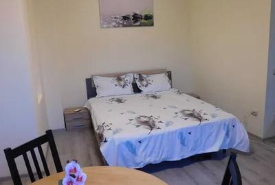 Garsonieră decomandată, mobilată în Gorjului - 1