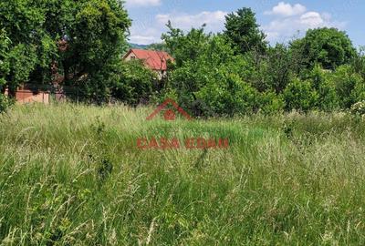 Casă cu Teren 3399 Mp în Brebu - 12