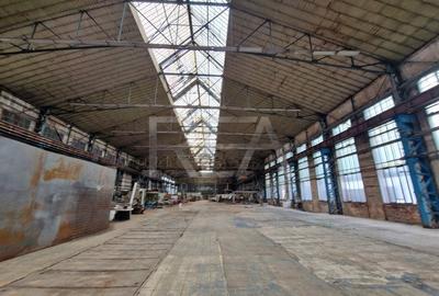 Hala cu pod rulant | Industriilor - 10