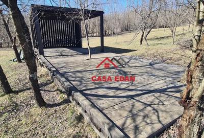 Teren de 9104 mp, în Brebu - 8