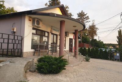 Spațiu comercial, de 8,700 mp, în Exterior Vest - 2