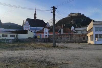 Teren de 3929 mp, în Cetate - 3