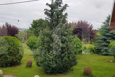 Proprietate HORECA cu sala de evenimente moderna, intr-o oaza de liniste Proprietate HORECA cu sala de evenimente moderna, intr-o oaza de liniste - 2