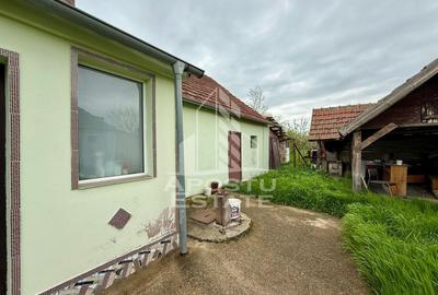 Casa individuala, 1377 mp teren, in Sanandrei - 9