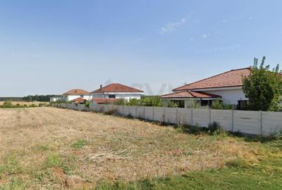 Teren 700mp Balotesti Dumbraveni Edenland - 1