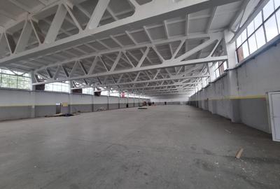 Închiriere Hală / Spațiu pentru Depozitare sau Producție – Zona Industrială Est,