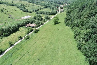 Teren de 8000 mp, în Micești - 1