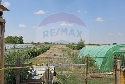 Casă cu 4 camere cu Teren 3100 Mp în Adunații-Copăceni