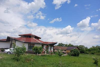 Casa superba in Tinca, 225 mp, 20 ari luciu de apa, teren fo - 11