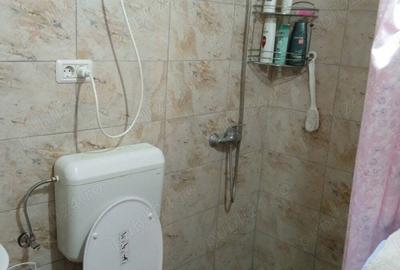 Casa vanzare seleus - 9