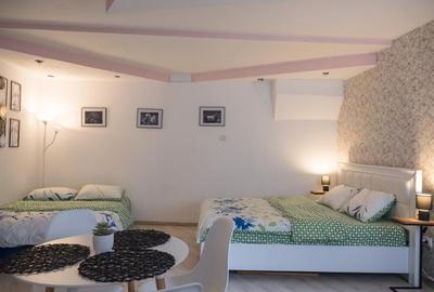 Apartament cu o camera zona Centrala - 5