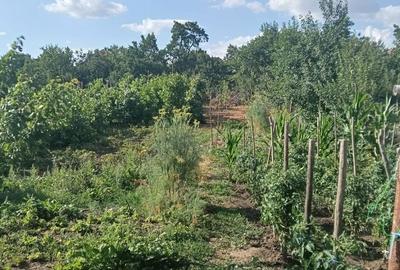 Casă cu 3 camere în Unirea - 1