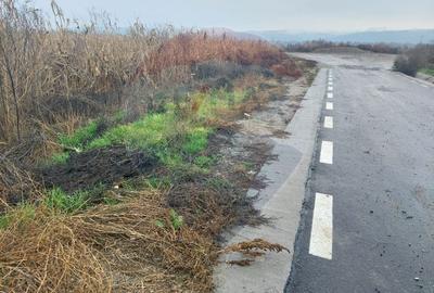 Teren intravilan de vanzare - Nicolae Balcescu, jud. Bacau - 2