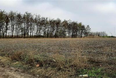 Teren de 1840 mp, în Gheorghe Lazăr - 3