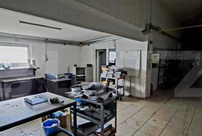 Oportunitate! Teren intravilan 20000 mp si spatiu industrial - 15