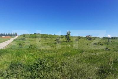 Teren Construcții intravilan de 31000 mp, în Calea București - 1