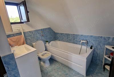 Casă cu 3 camere în Odaia Manolache - 3