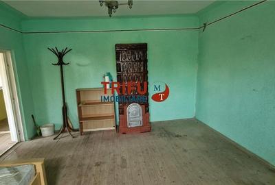 Casă de vânzare zona Cetate Schit 740 mp teren - 2