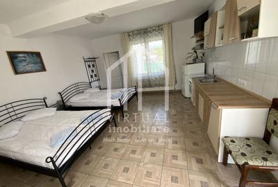 Pensiune de vanzare in Paltinis- Locatie deosebita- Afacere la cheie - 29