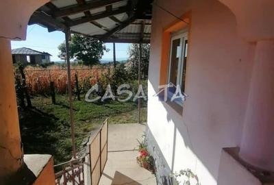 Casă individuală cu 3 camere cu Teren 8567 Mp în Bumbești-Pițic - 2