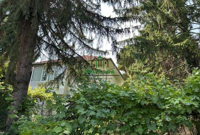 Casă individuală cu 4 camere cu Teren 341 Mp în Ultracentral - 3