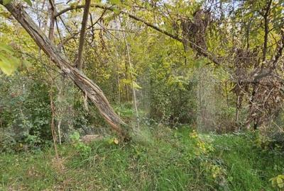 Teren intravilan in Comuna Razvad 1950mp cu acces la princip - 3