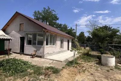 Casa de vacanta - Munteni Buzau - Jutetul Ialomita - Curte 2000mp