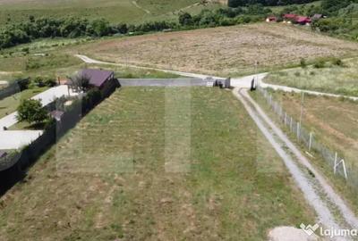 Teren de 1000 mp, în Sălicea - 3