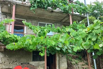 Casa cu vedere la Dunare! Vanzare sau schimb. - 1