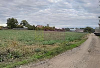 COSERENI( il ) - TEREN  2K MP DE VANZARE (52 M DESCHIDERE LA E85 ) - 6