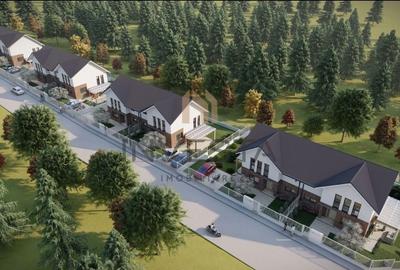 Case individuale alipite la nivel de calcan/Chinteni - 4