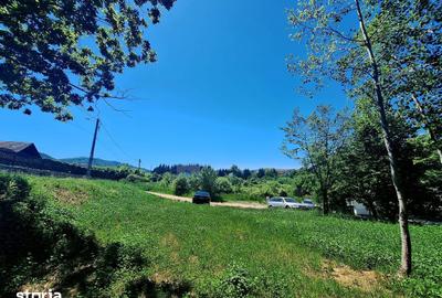 Teren de 3660 mp, în Central