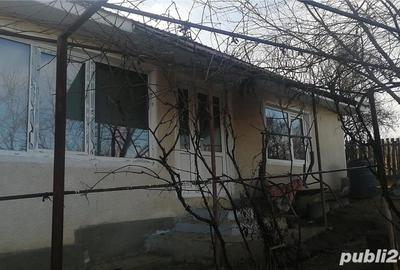 Casă cu 4 camere cu Teren 2000 Mp în Scurta - 3