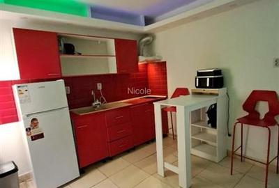 Garsonieră nedecomandată, mobilată în Moșilor - 2