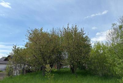 Teren de 1386 mp, în Tisa - 5