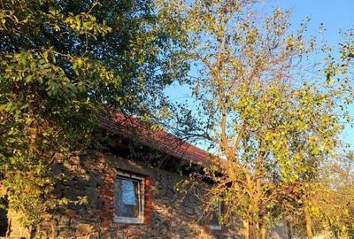 Casă cu 3 camere în Central - 1