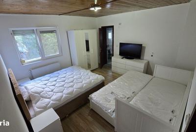 Casă cu 8 camere decomandat cu Teren 270 Mp în Poiana Țapului - 11