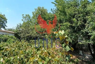 Teren Construcții intravilan de 980 mp, în Bordei - 1