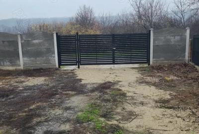 Casă cu Teren 7066 Mp în Dobroteasa - 2