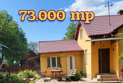 CASA 6 camere cu TEREN 7.3 HECTARE Zvoristea, Suceava - 1