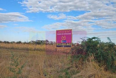 Teren de 11157 mp, în Gulia - 2